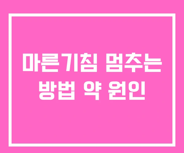 마른기침 멈추는 방법 약 원인