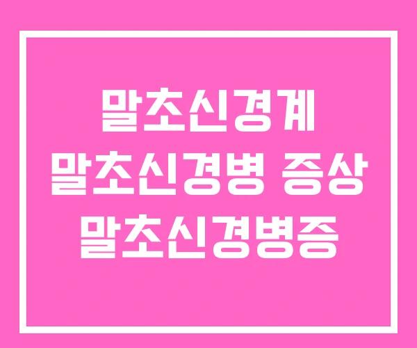 말초신경계 말초신경병 증상 말초신경병증