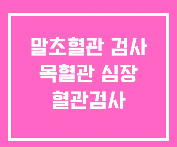 말초혈관 검사 목혈관 심장 혈관검사