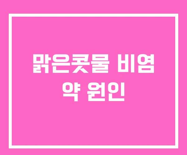 맑은콧물 비염 약 원인