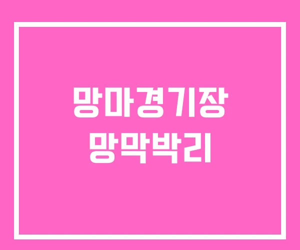 망마경기장 망막박리