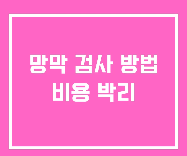 망막 검사 방법 비용 박리