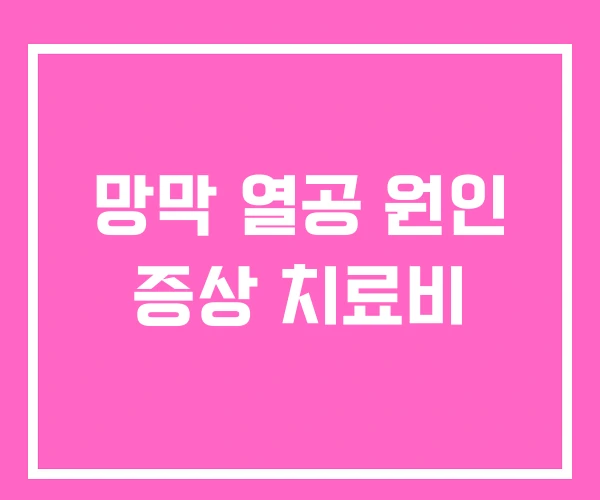 망막 열공 원인 증상 치료비