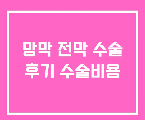 망막 전막 수술 후기 수술비용