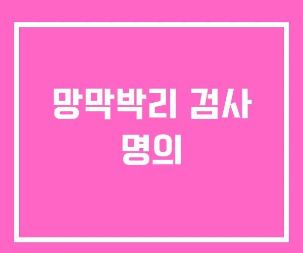 망막박리 검사 명의