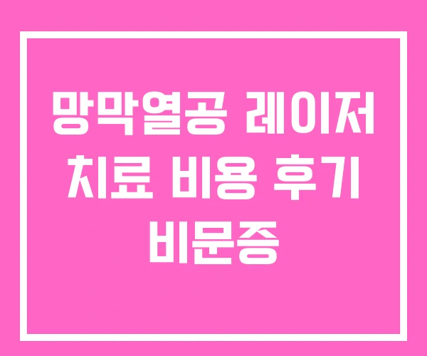 망막열공 레이저 치료 비용 후기 비문증