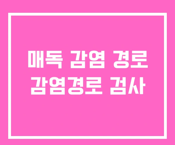 매독 감염 경로 감염경로 검사