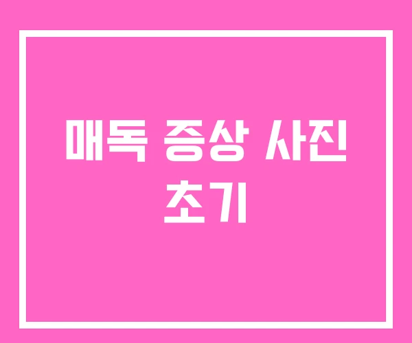 매독 증상 사진 초기 매독 증상 사진 초기