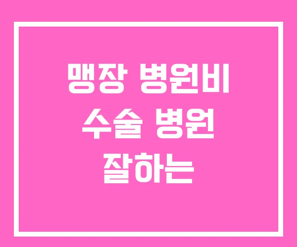 맹장 병원비 수술 병원 잘하는 맹장 병원비 수술 병원 잘하는