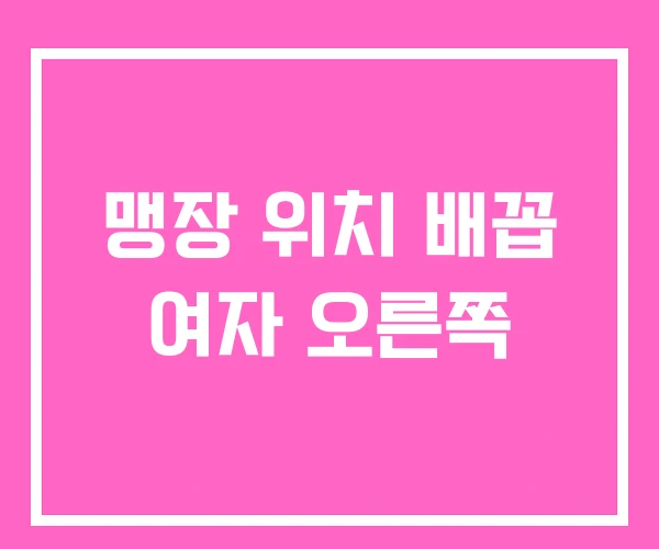 맹장 위치 배꼽 여자 오른쪽