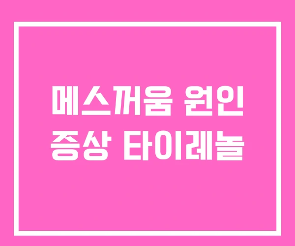 메스꺼움 원인 증상 타이레놀
