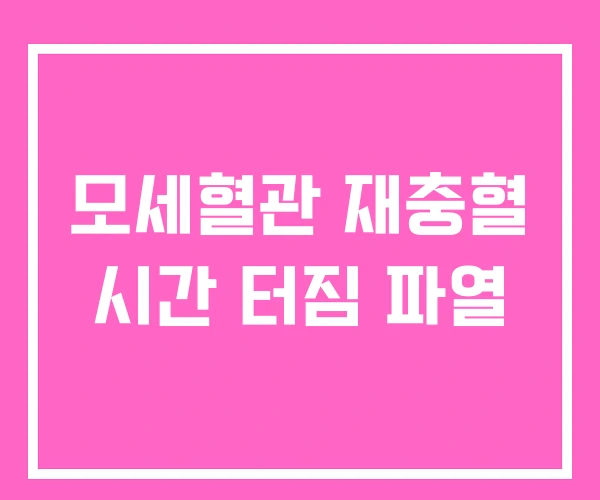 모세혈관 재충혈 시간 터짐 파열