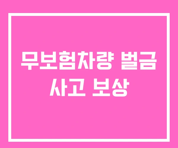 무보험차량 벌금 사고 보상 무보험차량 벌금 사고 보상