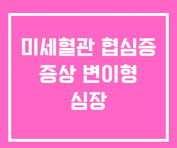 미세혈관 협심증 증상 변이형 심장