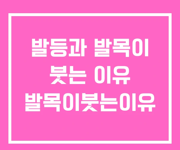 발등과 발목이 붓는 이유 발목이붓는이유