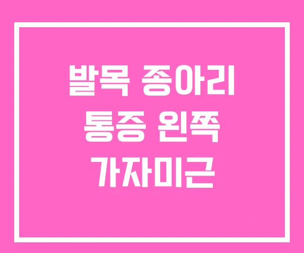 발목 종아리 통증 왼쪽 가자미근