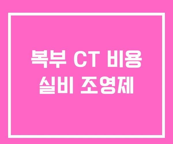 복부 CT 비용 실비 조영제