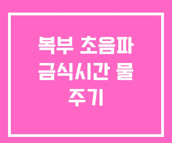 복부 초음파 금식시간 물 주기