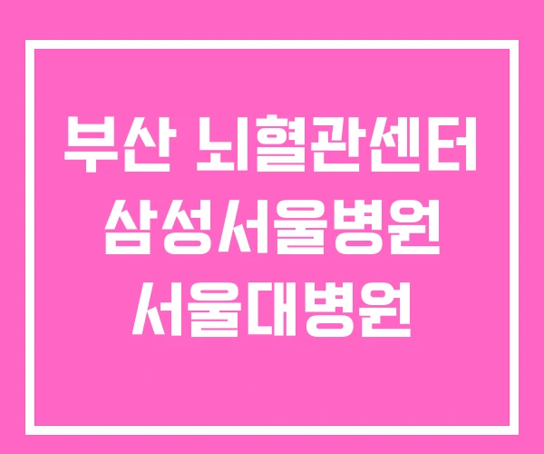 부산 뇌혈관센터 삼성서울병원 서울대병원 부산 뇌혈관센터 삼성서울병원 서울대병원