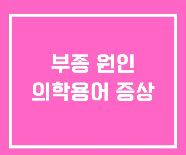 부종 원인 의학용어 증상