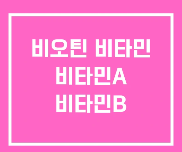 비오틴 비타민 비타민A 비타민B