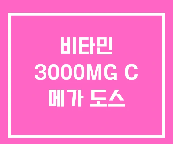 비타민 3000MG C 메가 도스 비타민 3000MG C 메가 도스