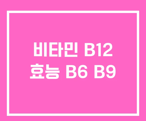 비타민 B12 효능 B6 B9 비타민 B12 효능 B6 B9
