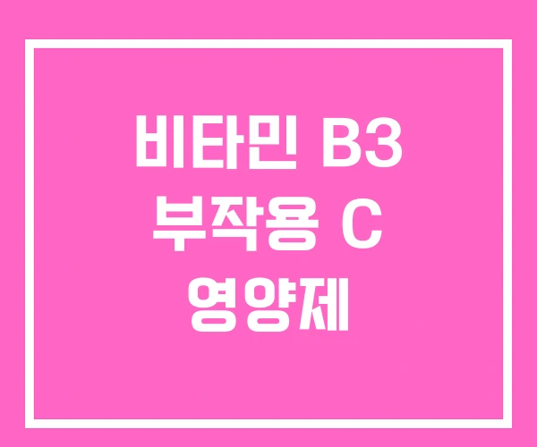 비타민 B3 부작용 C 영양제