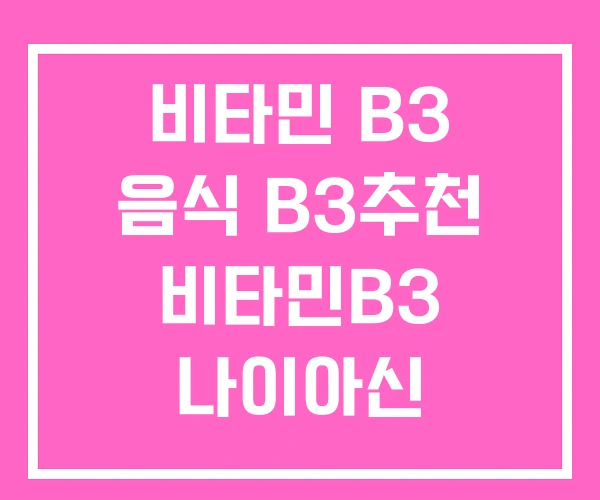 비타민 B3 음식 B3추천 비타민B3 나이아신