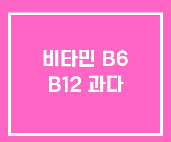 비타민 B6 B12 과다