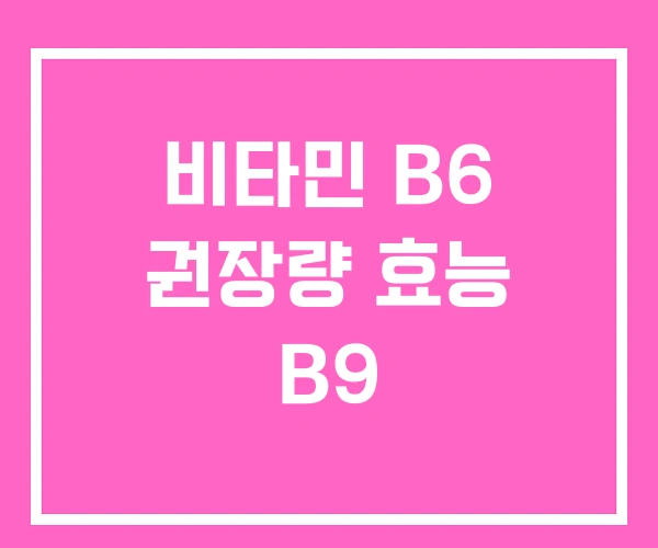 비타민 B6 권장량 효능 B9