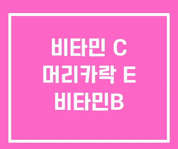 비타민 C 머리카락 E 비타민B 비타민 C 머리카락 E 비타민B