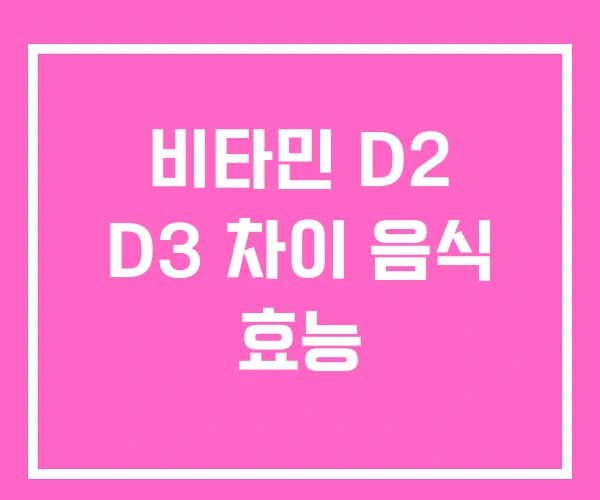 비타민 D2 D3 차이 음식 효능