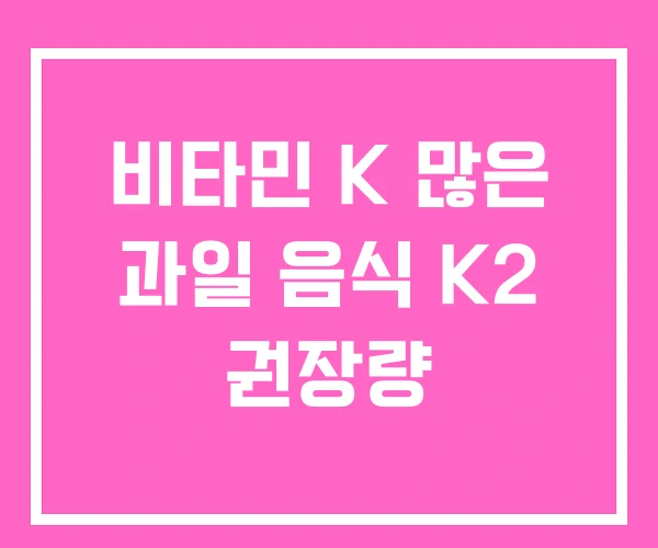 비타민 K 많은 과일 음식 K2 권장량