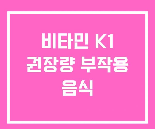 비타민 K1 권장량 부작용 음식
