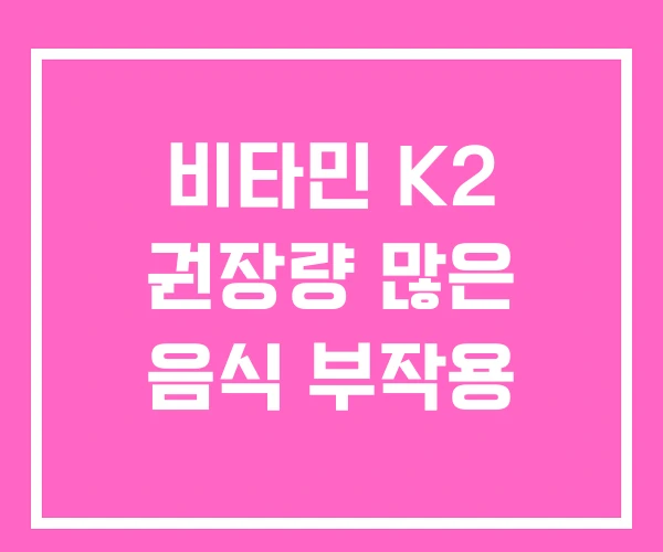비타민 K2 권장량 많은 음식 부작용