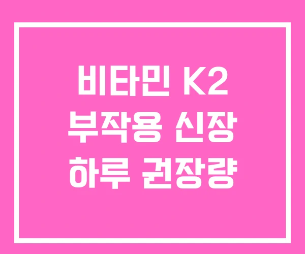 비타민 K2 부작용 신장 하루 권장량