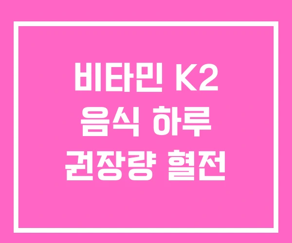 비타민 K2 음식 하루 권장량 혈전