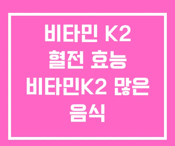 비타민 K2 혈전 효능 비타민K2 많은 음식