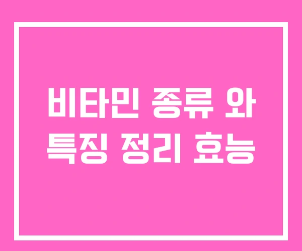 비타민 종류 와 특징 정리 효능 비타민 종류 와 특징 정리 효능