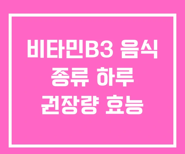 비타민B3 음식 종류 하루 권장량 효능 비타민B3 음식 종류 하루 권장량 효능