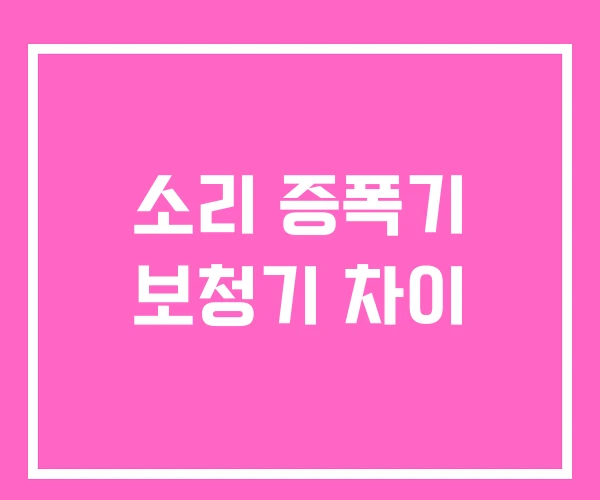 소리 증폭기 보청기 차이