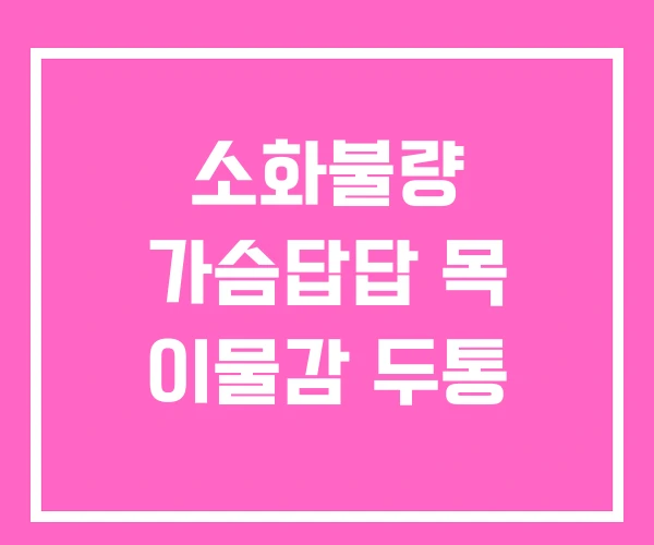 소화불량 가슴답답 목 이물감 두통