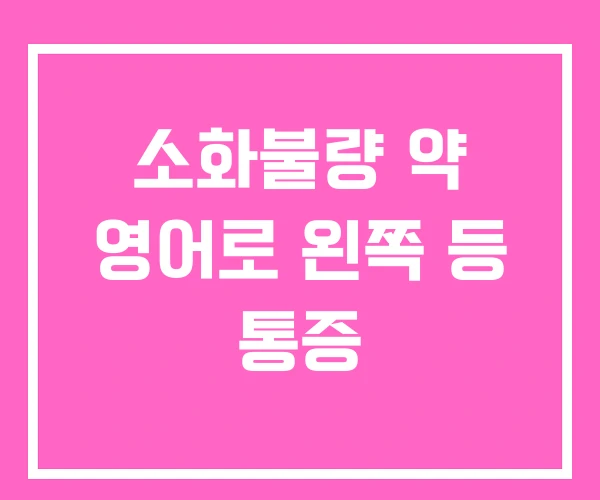 소화불량 약 영어로 왼쪽 등 통증
