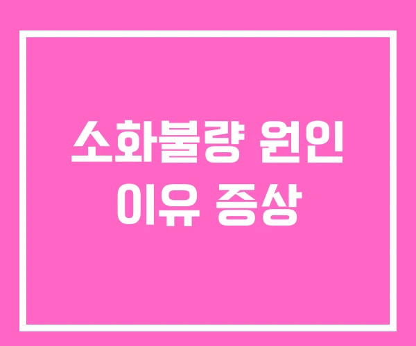 소화불량 원인 이유 증상