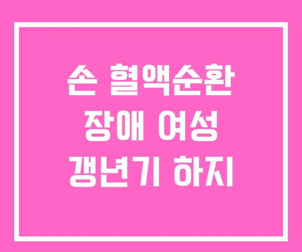손 혈액순환 장애 여성 갱년기 하지 손 혈액순환 장애 여성 갱년기 하지