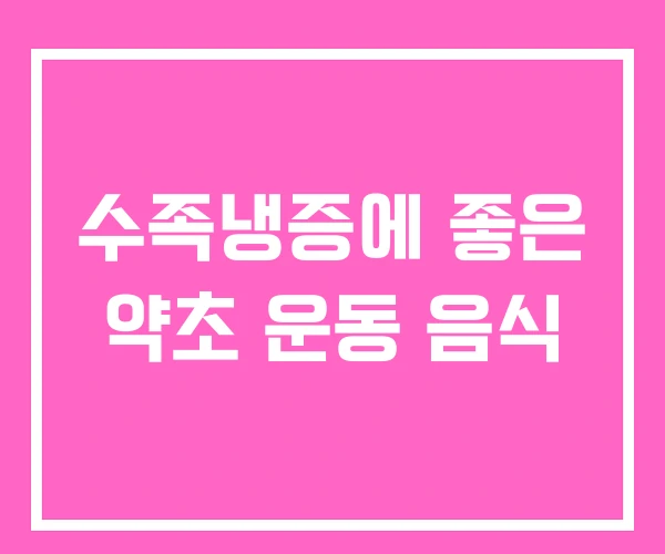 수족냉증에 좋은 약초 운동 음식