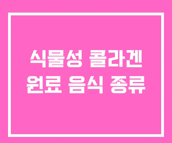 식물성 콜라겐 원료 음식 종류