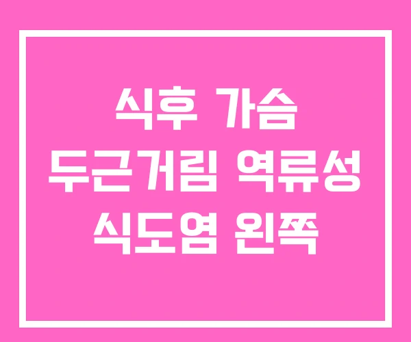 식후 가슴 두근거림 역류성 식도염 왼쪽