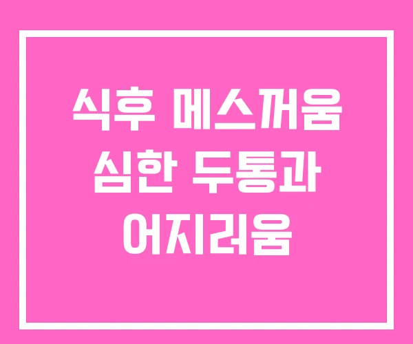 식후 메스꺼움 심한 두통과 어지러움